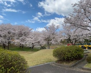 寺本鉄工の春（ちょっと遅れましたが・・）